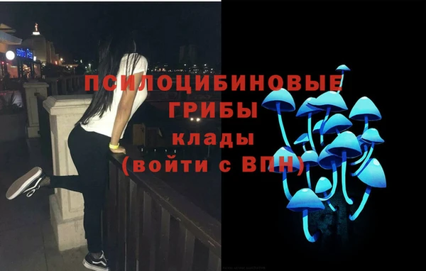 MDMA Premium VHQ Аркадак