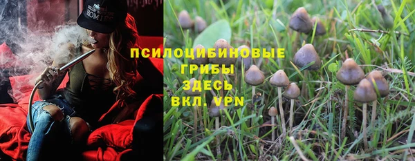 ECSTASY Армянск